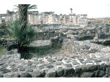 Capernaum - Synagogue - Houses. 1st century houses in foreground with synagogue in background
